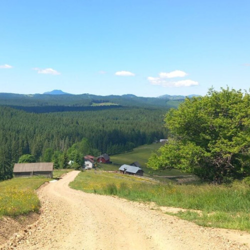 John Levke a pornit pe Via Transilvanica în data de 13 iunie, având ca punct de start Mănăstirea Putna. Potrivit relatărilor sale, în prima zi, până la Sucevița, drumul i s-a părut ușor de parcurs, fără întâlniri cu câini sau urși. În a doua zi, traseul a fost mai dificil, cu multe urcări, iar el a crescut în experiența interacțiunilor cu localnicii, pe care îi descrie ca fiind persoane care &quot;împart mâncăruri și băuturi spirtoase făcute în casă&quot;. Levke menționează, citat de timponline.ro, că “o experiență atât de grozavă chiar dacă încercările mele de a vorbi în limba română probabil au fost cât mai aproape de o crimă pe care o voi avea vreodată, fără a fi arestat”.