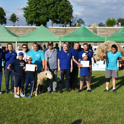 festivalul de lupte traditionale tataresti de la medgidia a adunat 60 de concurenți