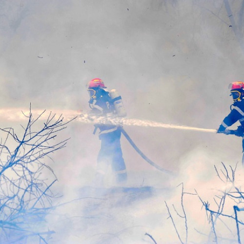 Incendiu de vegetație uscată în Murfatlar, intervenție de urgență a ISU