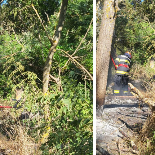 Incendiu de vegetație și autoturism în pădurea din apropierea Crăciunei