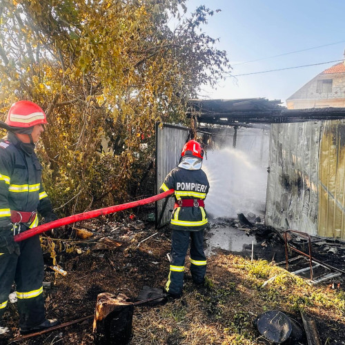 Incendiu de vegetație și auto în Tulcea
