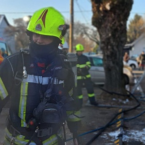 Service auto din Satu Mare în flăcări