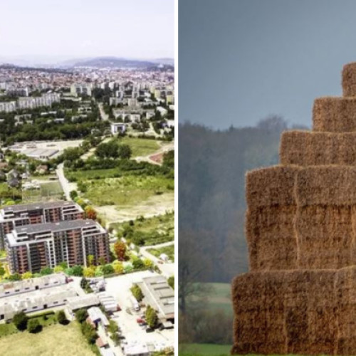 Trei bărbați din Cluj condamnați definitiv pentru tâlhărie calificată