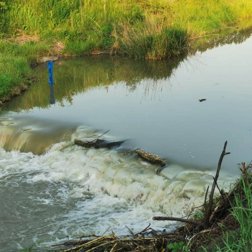Salinitatea crescută în râurile Mureș și Târnava menține restricțiile de utilizare a apei