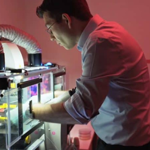 savant din alba, Sergiu Pasca, a reușit să reconstruiască circuitul neuronal al durerii umane