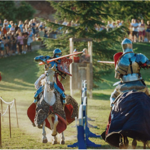 festivalul medieval din oradea aduce o experiență de neuitat pentru vizitatori