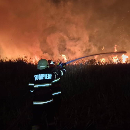 Incendiu de vegetație uscată în satul Vălișoara, comuna Livezile