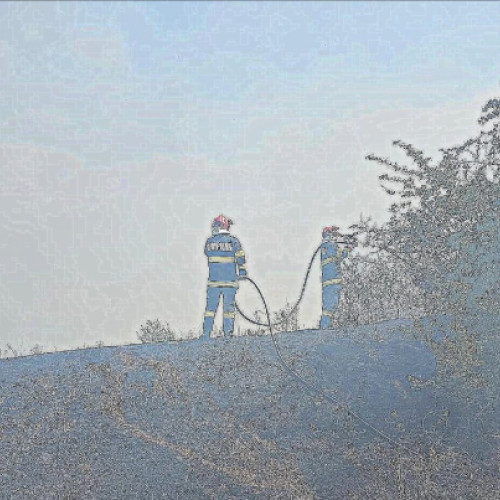 Incendii de vegetație în județul Arad din cauza vremii uscate