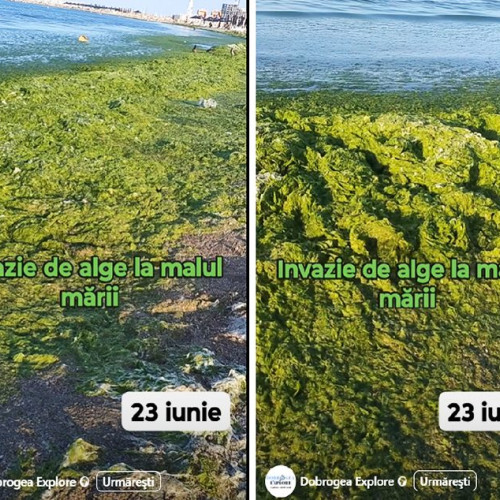 Imagini cu algele adunate pe mal după furtuna, create polemici online