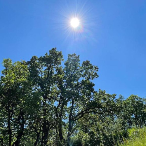 heatwave de vara în România: temperaturi de până la 38 de grade Celsius în mai multe regiuni