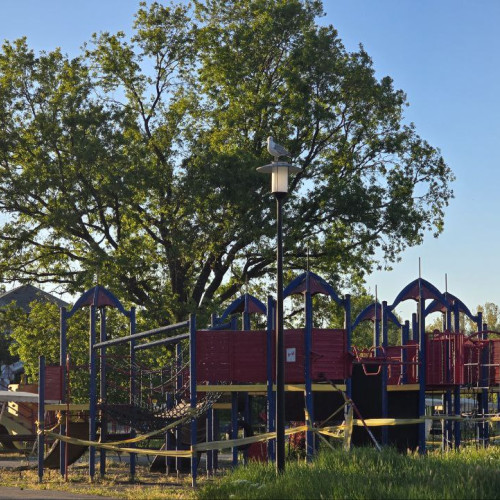 Cererea pentru certificatul de urbanism, aprobată pentru parcul Tara Piticilor din Constanța, marchează un pas important în reactivarea locului de joacă. Potrivit ziarulamprenta.ro, certificatul, emis pe 24 iunie, le oferă autorităților posibilitatea de a începe procedurile pentru obținerea autorizației de construcție, esențială pentru continuarea lucrărilor de modernizare.