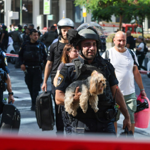 Ansva a suspendat temporar restricțiile pentru animalele de companie aduse din Israel din cauza situației de urgență din regiune