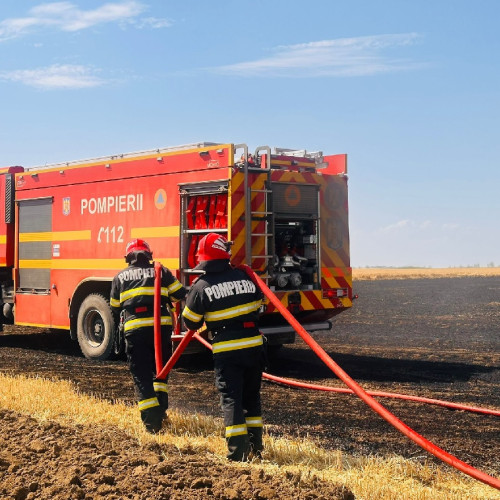 Incendiul de pe câmpuri din Valea Nucarilor, localizat rapid de echipele de intervenție