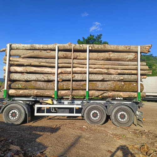 Controale ale poliției nemțene au dus la confiscarea a 20 de metri cubi de lemn și a remorcii folosite la transport