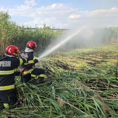 Incendiu de vegetație uscată la Galați, pompierii în alertă