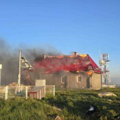 Incendiu pe Vârful Vlădeasa din Munții Apuseni