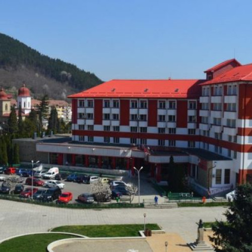 Cele mai profitabile hoteluri din județul Bacău în 2024