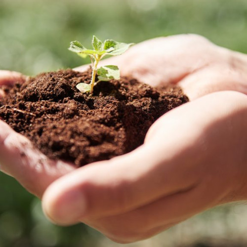 Impactul rotației culturilor asupra fertilității solului