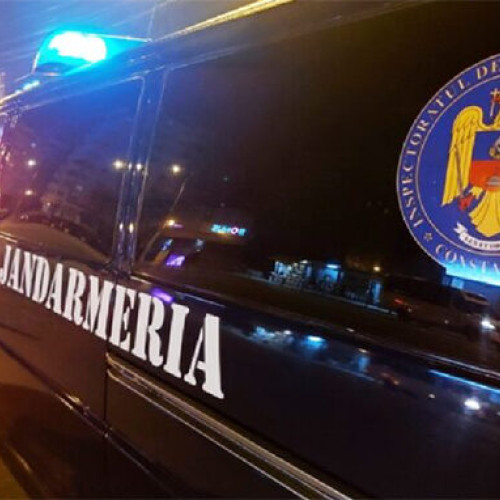 descoperiri ale jandarmilor constanța în ultimele 24 de ore