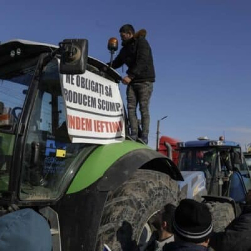 Fermieri în faliment din cauza scăderii prețului grâului