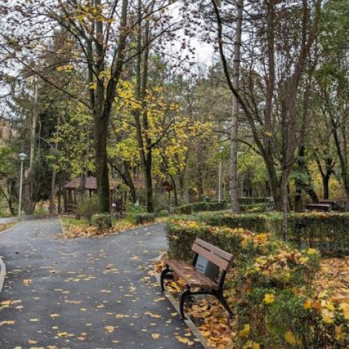 Probleme în gestionarea parcului detunata din Cluj-Napoca