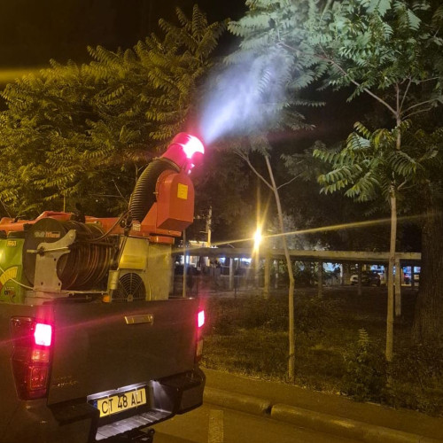 Primăria Constanța intensifică acțiunile de dezinsecție împotriva țânțarilor și căpușelor