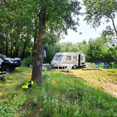 Famiilii din Focșani, amendate pentru camping ilegal pe malul Siretului