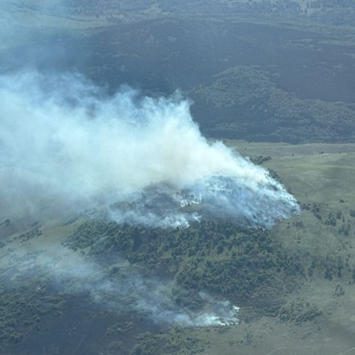 Incendiu de vegetație în Maramureș, operțiuni de stinse în curs