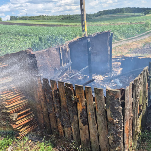Două incendii au avut loc în ultimele ore în județul Botoșani, necesitând intervenția promptă a pompierilor. La Truşeşti, a ars vegetația uscată pe aproximativ 200 de metri pătrați, iar echipele din cadrul Gărzii de Intervenție Truşeşti, cu o autospecială de stingere, au reușit să stingă focul. Conform informațiilor, clădirile din gospodărie au fost protejate de incendiu.