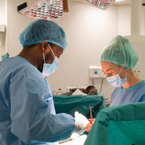 chirurgie robotica in tratamentul afectiunilor hepato-bilio-pancreatice parametrii de succes si inovatii tehnologice