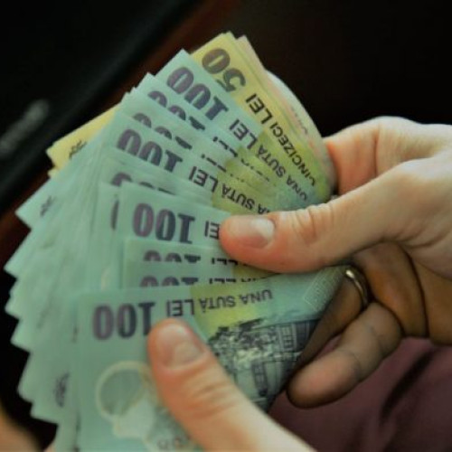 Conflict intre frati dupa ce unul a vandut calul celuilalt fara aprobare