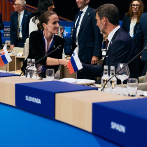 românia participă la reuniunea Consiliului NATO-Ucraina de la Haga