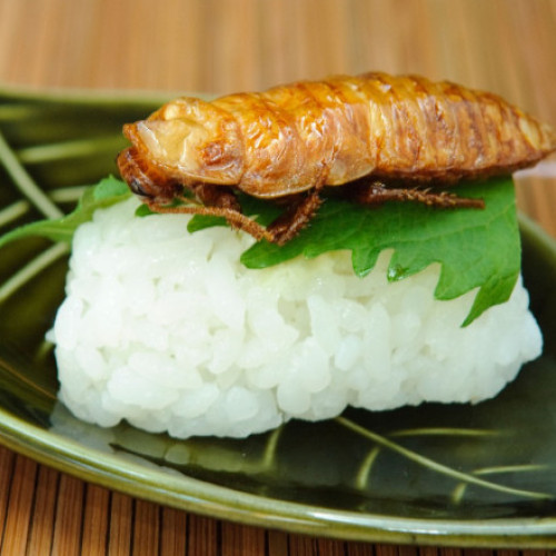 Eforturile de promovare a consumului de insecte ca alternativă sustenabilă la carne sunt considerate nesuccese, conform unui studiu recent citat de digi24.ro. Cercetarea evidențiază principalul obstacol: oamenii, în special din țările occidentale, sunt dezgustați de ideea de a consuma greieri, lacuste sau furnici.