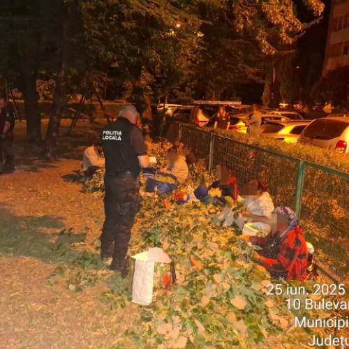 Opt persoane sancționate pentru deteriorarea arborilor ornamentali din Brașov