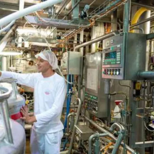 producția de zahăr din românia a scăzut semnificativ în ultimul an, iar agrana românia a revenit sub pragul de 1 miliard de lei