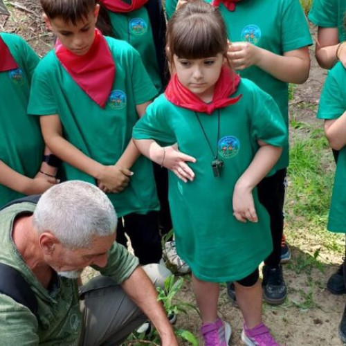 activitate educativă inedită în pădurea de la Istrita: copiii „Zaganii Buzaului” învățând supraviețuirea