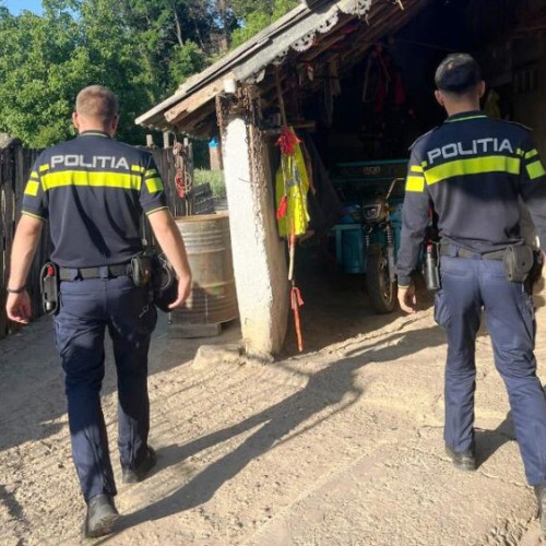 Polițiștii din Adjud efectuează percheziții în dosar de furt