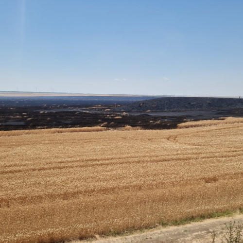 Incendii de vegetație în județul Constanța: mai multe zone afectate