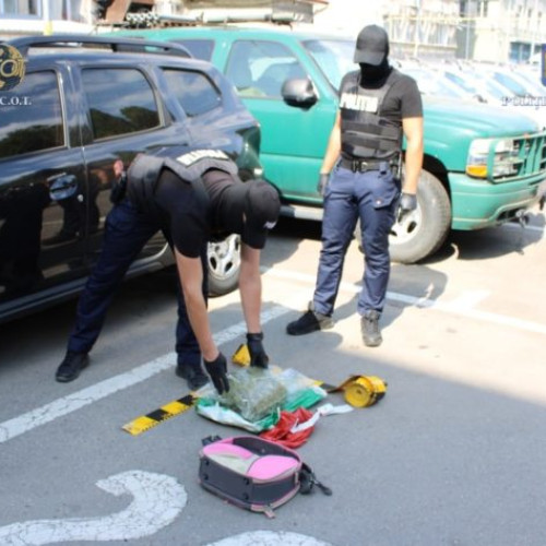 doi tineri din botoșani condamnați definitiv pentru trafic de droguri de risc și mare risc