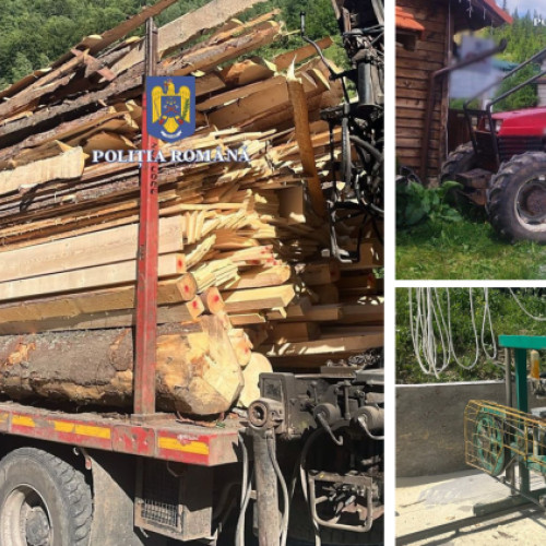 Percheziții în comuna Baisoara în cazul infracțiunilor silvice
