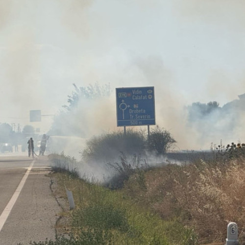 Incendiu de vegetație uscată în Maglavit, judetul Dolj