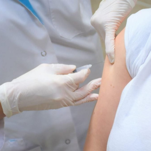 Suspiciune de rabie la o caprioară în Iași