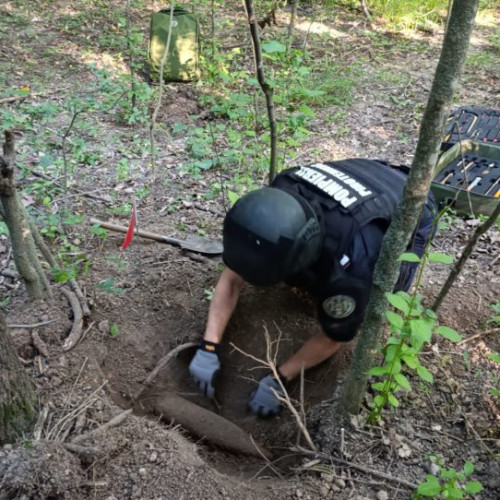 descoperire periculoasă în pădurea Rediu: un proiectil exploziv de calibru 105 mm