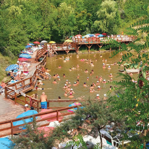 N. Dumitrescu, candidată la alegerile locale din Ploiești