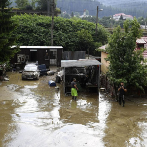 Despăgubiri de 119 milioane de lei din asigurări înregistrate de Cristinel Luca