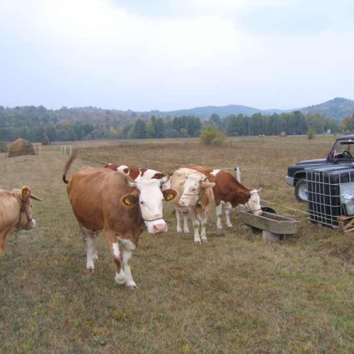 16 primării din județul Botoșani vor beneficia de fonduri din Fondul de rezervă al CJ