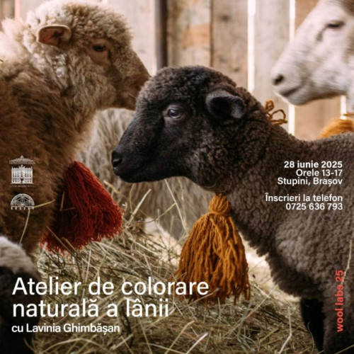 atelier de colorare naturala a lanii „flora, lana, localism” în stupini