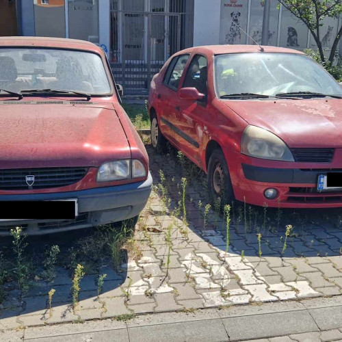 proiecții pentru programul rabla în următorii doi ani, fondurile urmând să fie redirecționate către proiecte din pachetul național de redresare și reziliență (PNRR). Potrivit informațiilor publicate de Antena 3 CNN, citând surse oficiale, toate inițiativele administrate de Fondul pentru Mediu (AFM) vor fi revizuite, iar primele decizii se vor lua în curând, atât pentru proiectele blocate, cât și pentru cele planificate să fie lansate în perioada următoare.