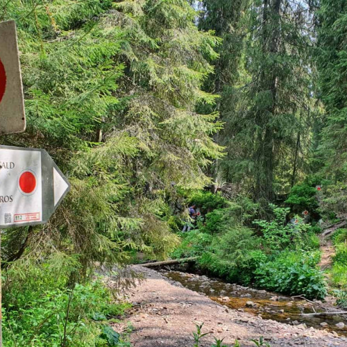 Circuitul Somesului Cald din Munții Apuseni, redeschis după furtuna violentă