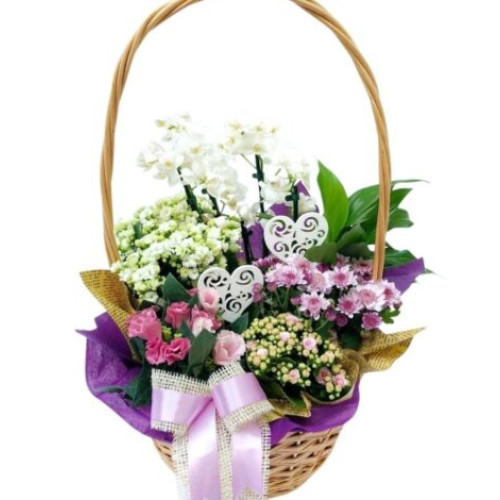 cadouri pentru zilele de Sf. Maria: idei simple pentru persoane dragi